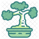 Bonsai Pflanze  Symbol