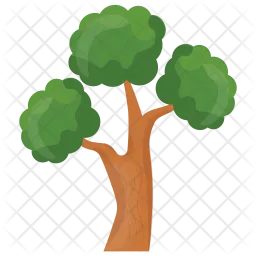 Bonsai Pine  Icon