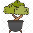 Bonsai Plant  Icon