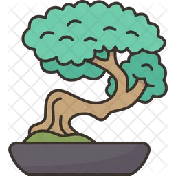 Bonsai Plant  Icon