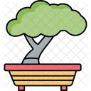 Bonsai plant  Icon