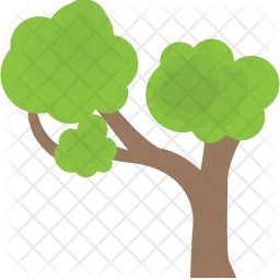 Bonsai Tree  Icon