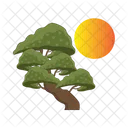 Bonsai tree  Icon
