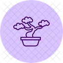 Bonsai tree  Icon