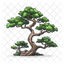 Bonsai Tree  Icon