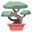 Bonsai Tree  Icon