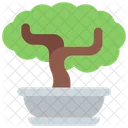 Bonsai Tree  Icon