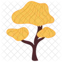 Bonsai Tree Tree Forest Icon