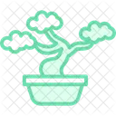 Bonsai tree  Icon