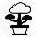 Plant Bonsai Tree Dwarf Tree Icon