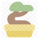 House Plant Plant Nature Icon