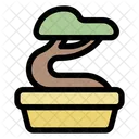 House Plant Plant Nature Icon