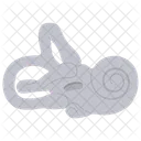 Bony labyrinth  Icon