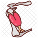 Bony labyrinth  Icon