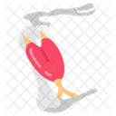Bony Labyrinth Ear Internal Ear Icon