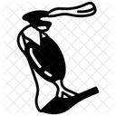 Bony labyrinth  Icon