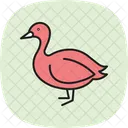 Booby Bird Sea Icon