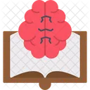 Book Education Knowledge Icon