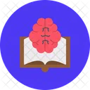 Education Study Learning Icon