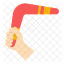 Boomerang  Icon