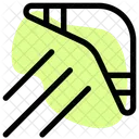 Boomerang  Icon