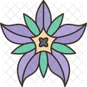 Borage Petal Flower Icon