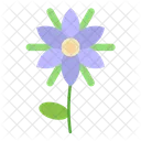Daisy Chrysanthemum Nasturtium Icon