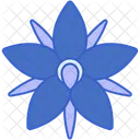 Borage Starflower  Icon