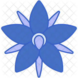 Borage Starflower  Icon