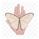 Borboleta Icon