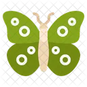 Inseto Natureza Mosca Icon