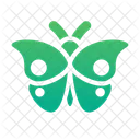 Borboleta  Icon