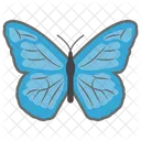 Borboleta  Ícone