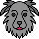 Border Collie Animal Mascota Icono
