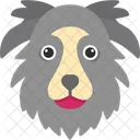 Border Collie Animal Pet Icon