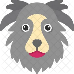 Collie fronterizo  Icono