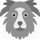 Border Collie Animal Mascota Icono