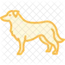 Border Collie Border Collie Hund Icon