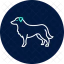 Border Collie  Symbol