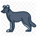 Border Collie Wildhund Dackel Symbol