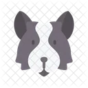 Border Collie  Symbol