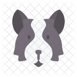 Border collie  Icon