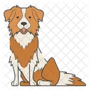 Border Collie Dog Puppy Icon