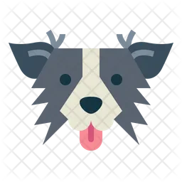 Border Collie Dog  Icon