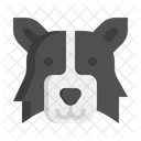 Border Collie dog  Icon