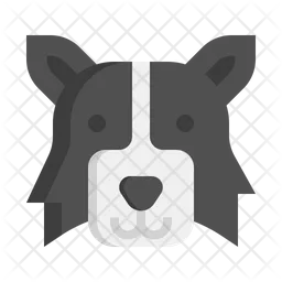 Border Collie dog  Icon