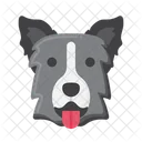 Border Collie dog  Icon
