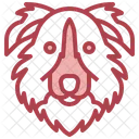 Border Collie  アイコン