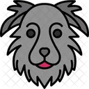 Border collie  Ícone