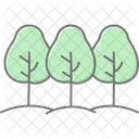 Bordering Trees Bordering Trees Icon